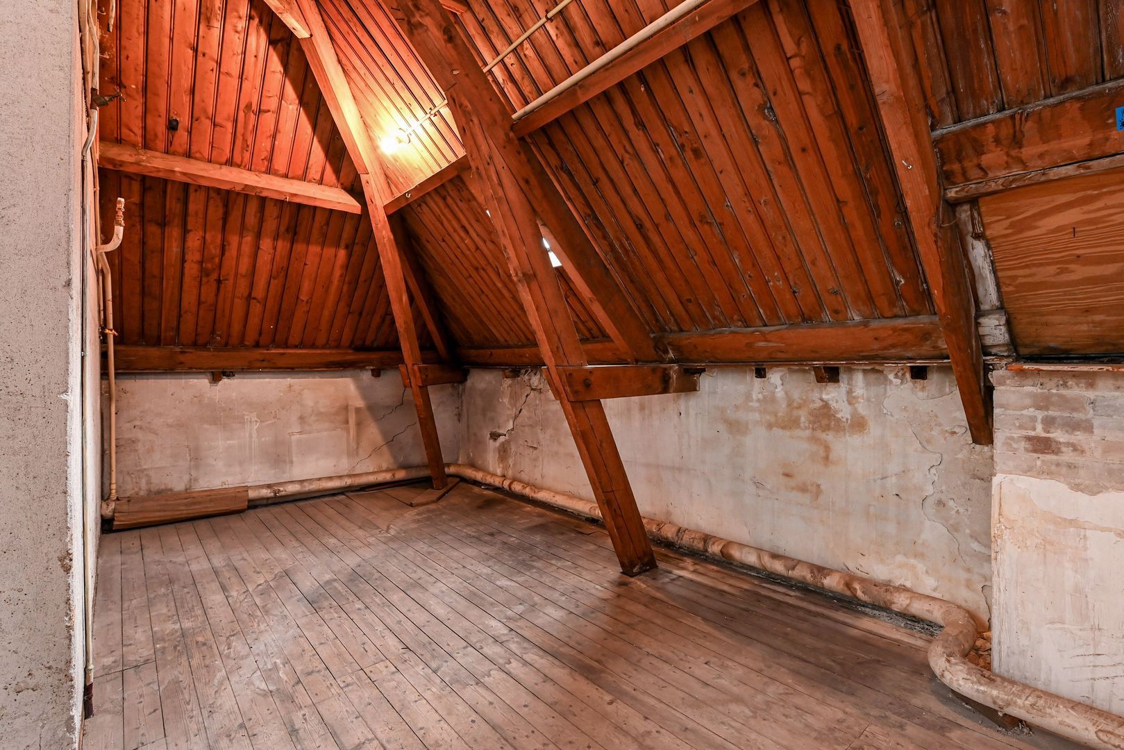 Frankenstraat 29 Den Haag photo-50