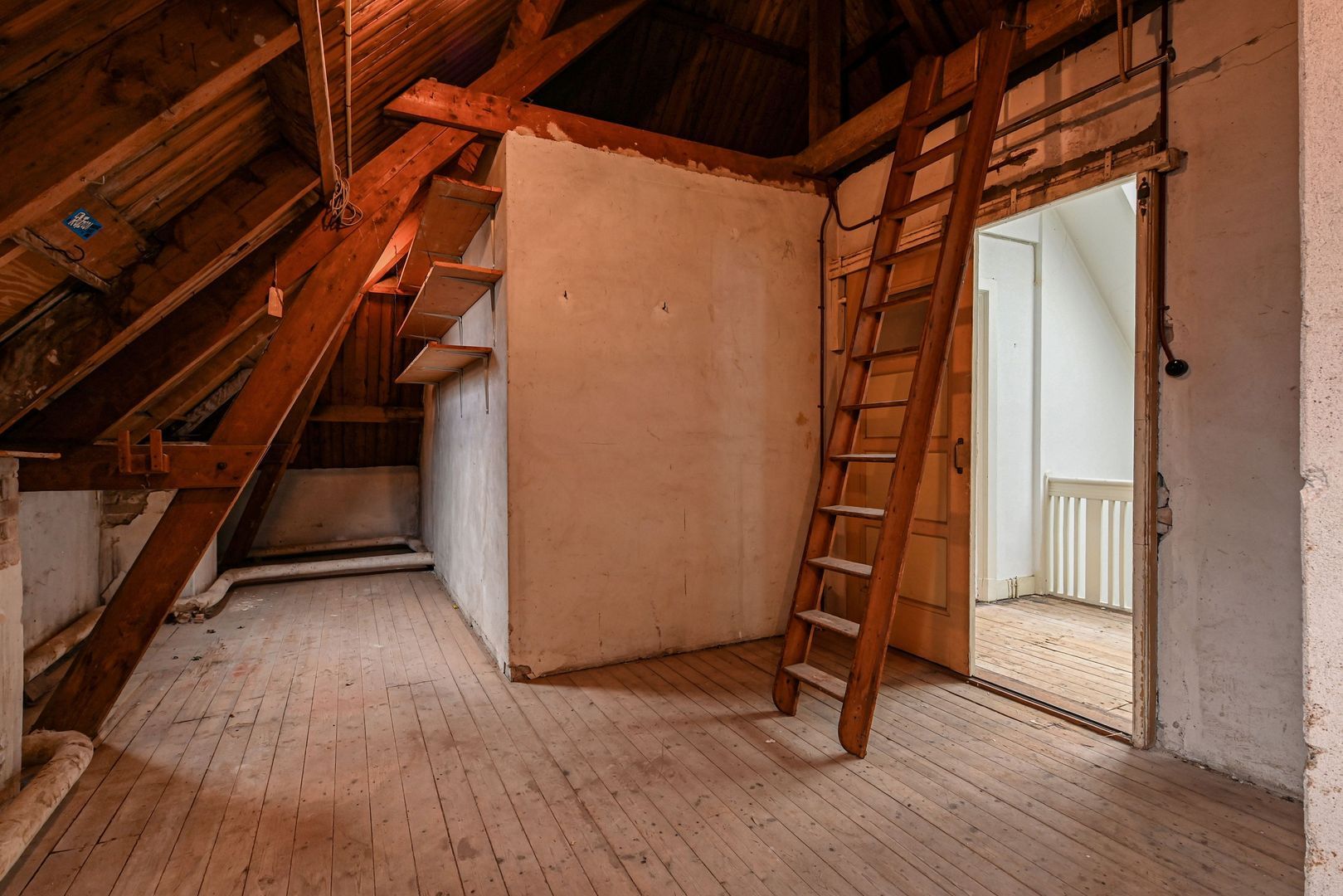 Frankenstraat 29 Den Haag photo-48