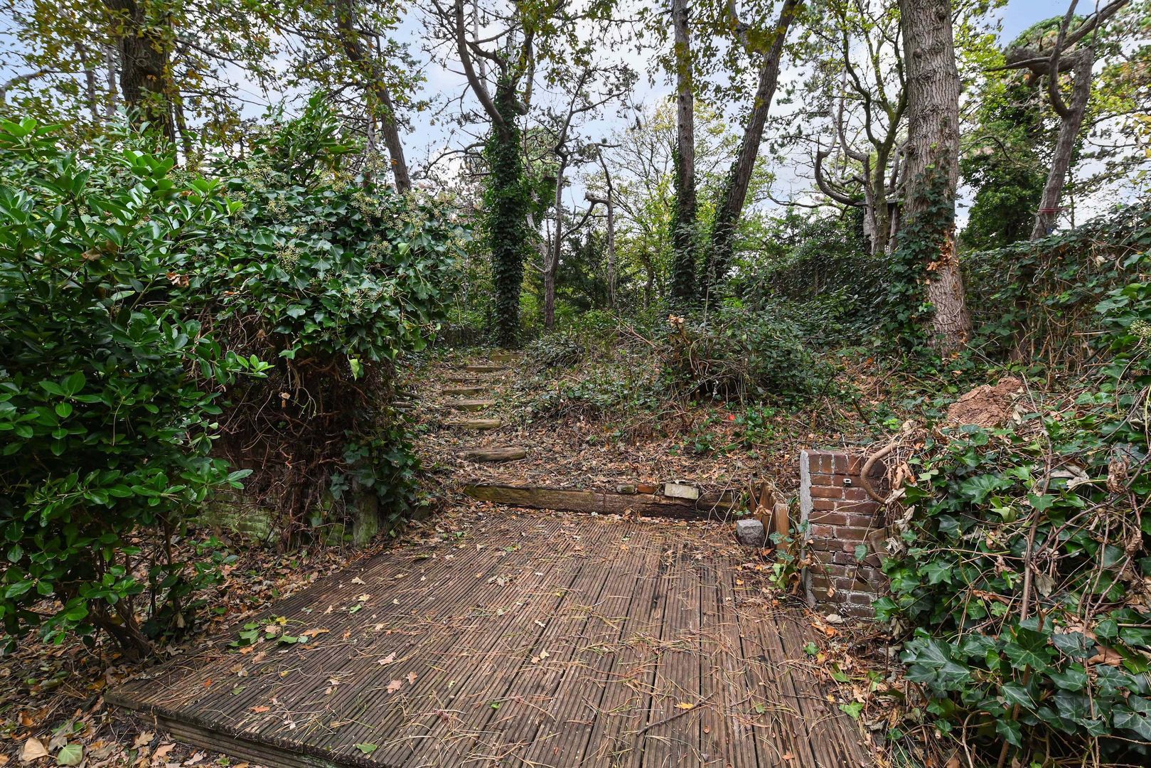 Frankenstraat 29 Den Haag photo-63