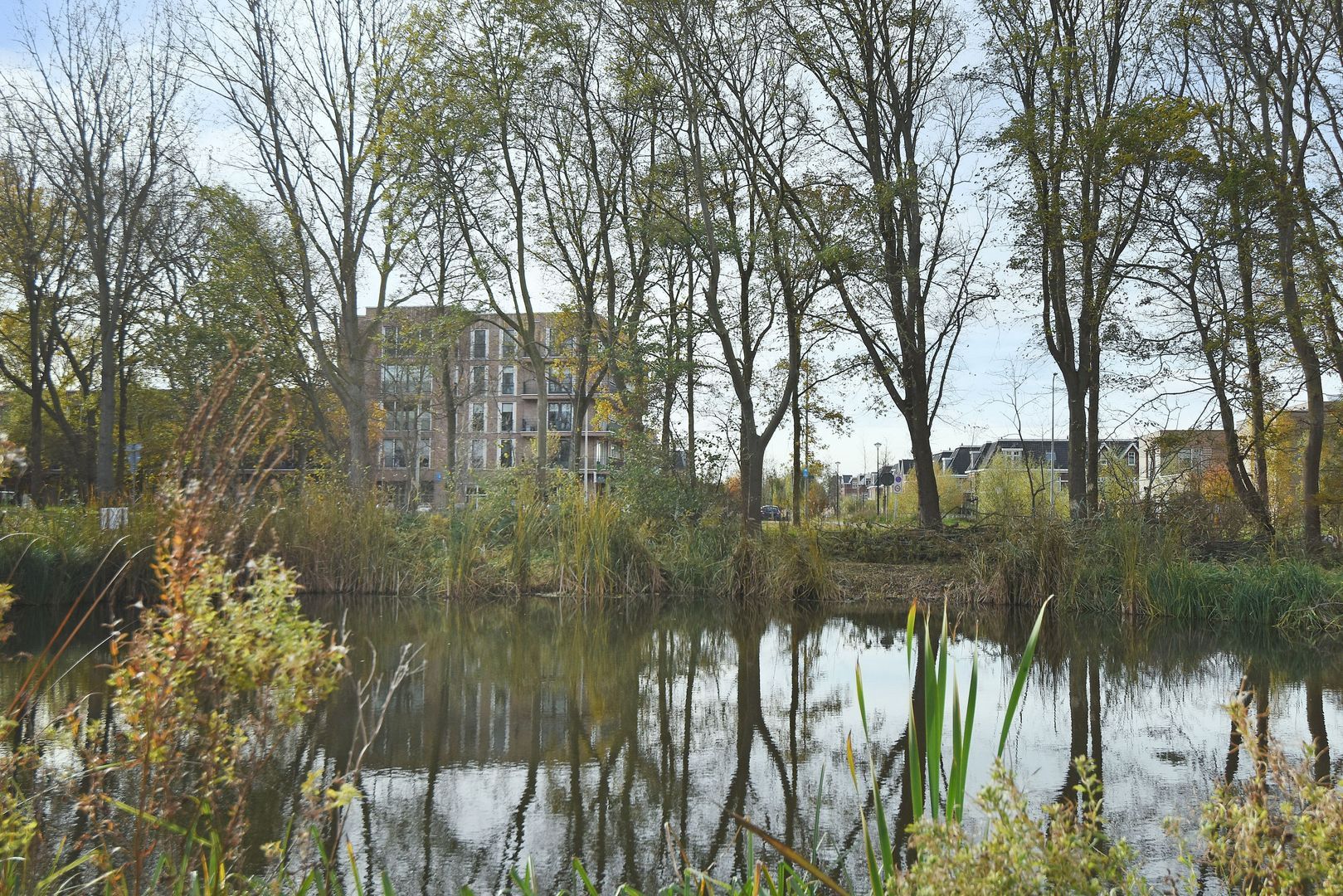 Thomas Mannsingel 22 Den Haag photo-29