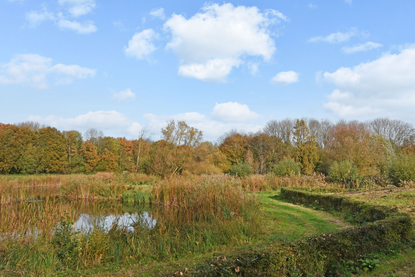 Thomas Mannsingel 22 Den Haag photo-27