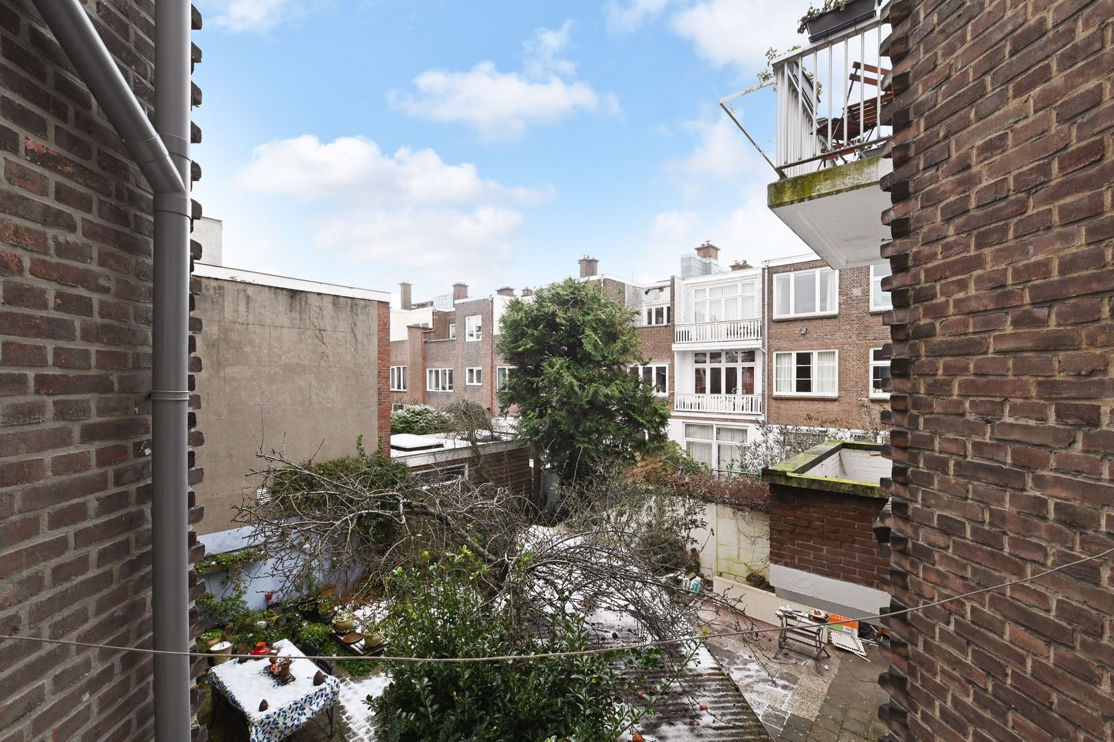 Sneeuwbalstraat 224 Den Haag photo-26