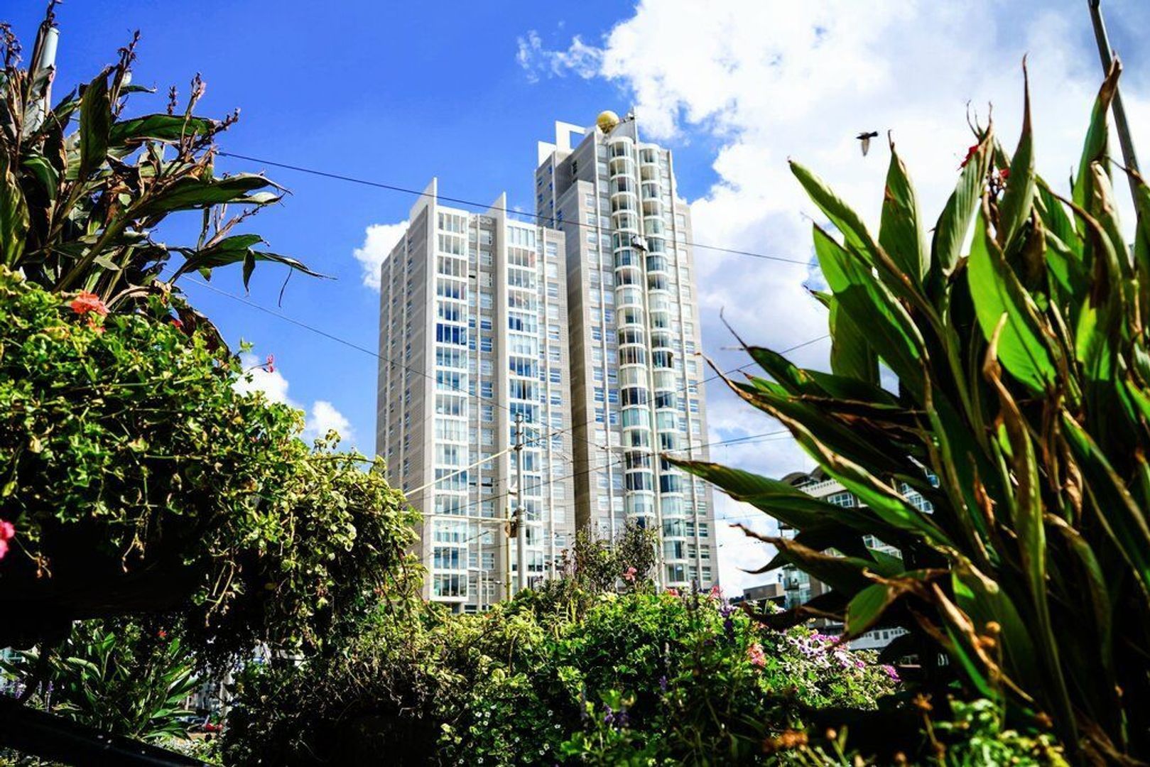 Zwolsestraat 11 B Den Haag photo-28