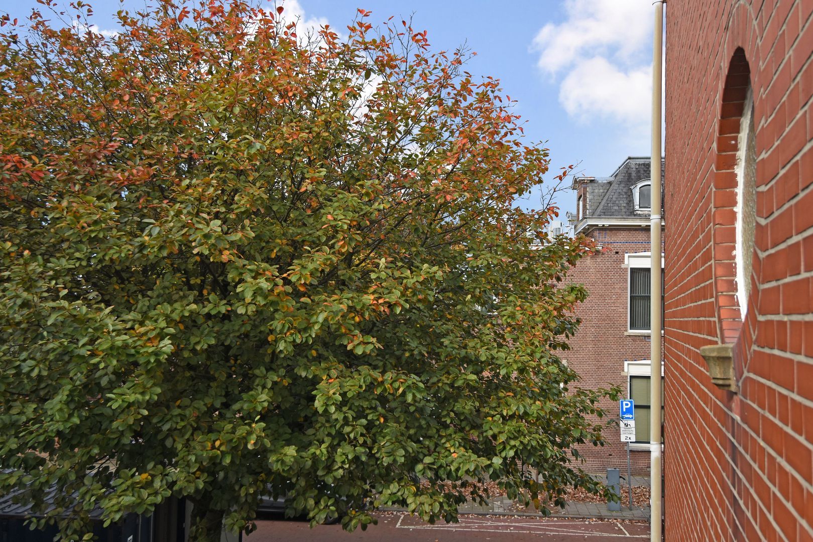 Frankenslag 296 Den Haag photo-40