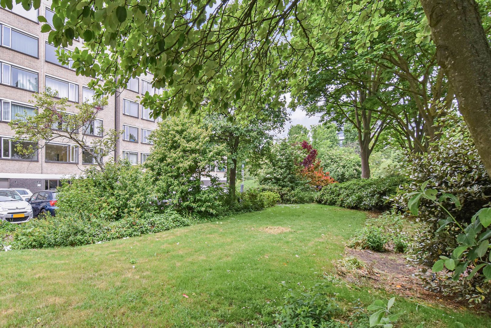 Denijsstraat 119 Den Haag photo-2