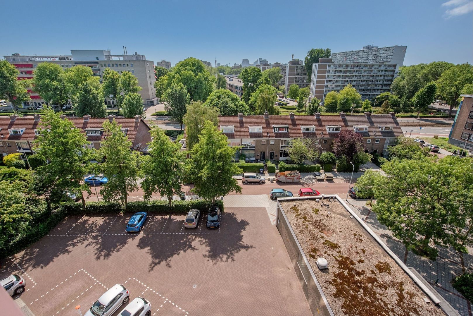 Dignaland 56 Den Haag photo-13