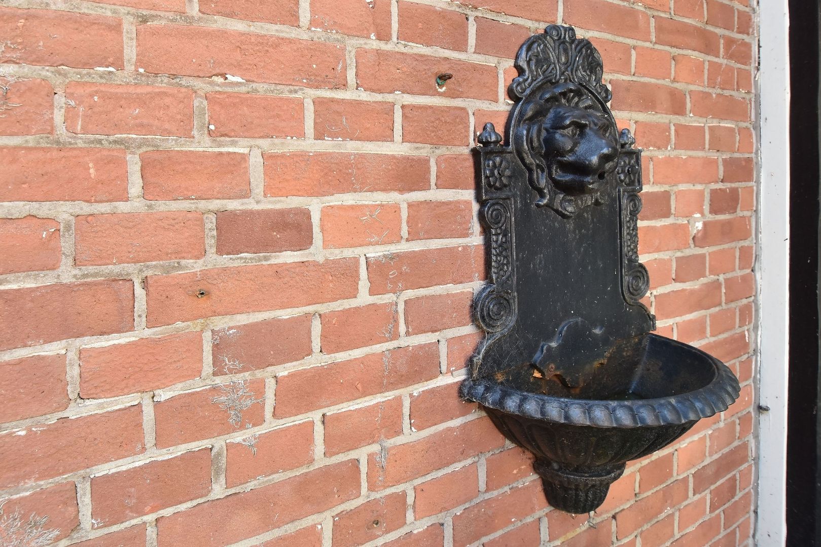 Frankenslag 316 Den Haag photo-17