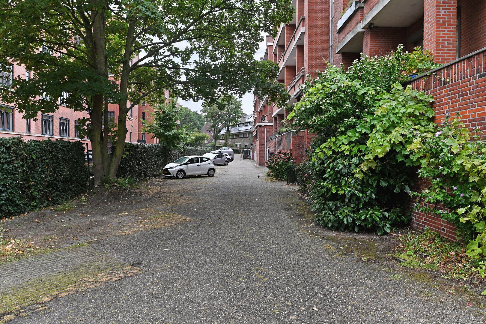 Kanaalweg 3 T Den Haag photo-43