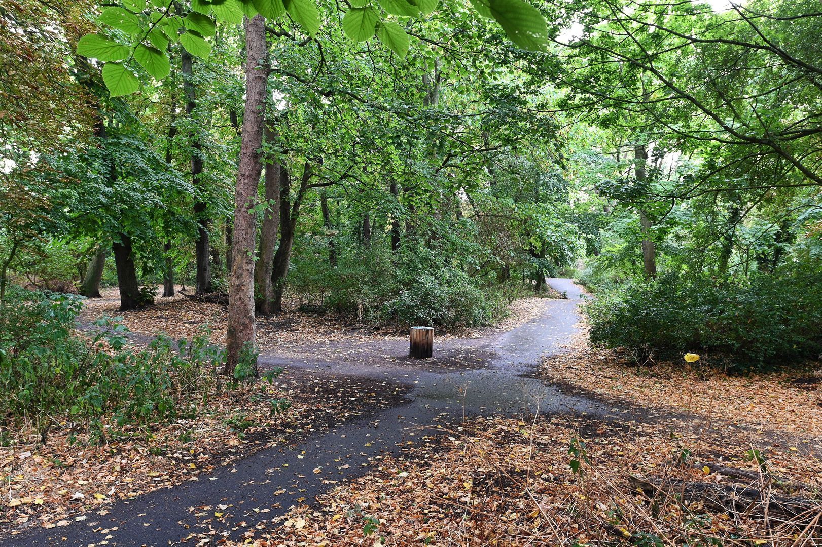 Kanaalweg 3 T Den Haag photo-47