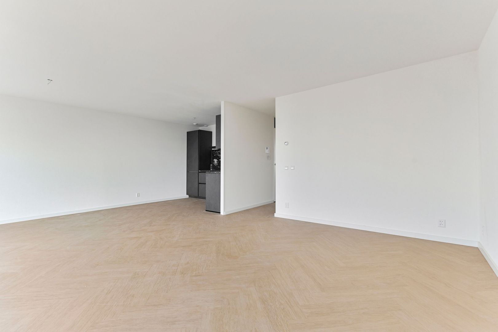 Palaceplein 238 Den Haag photo-24