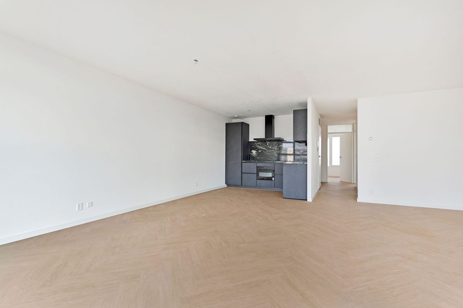 Palaceplein 238 Den Haag photo-21