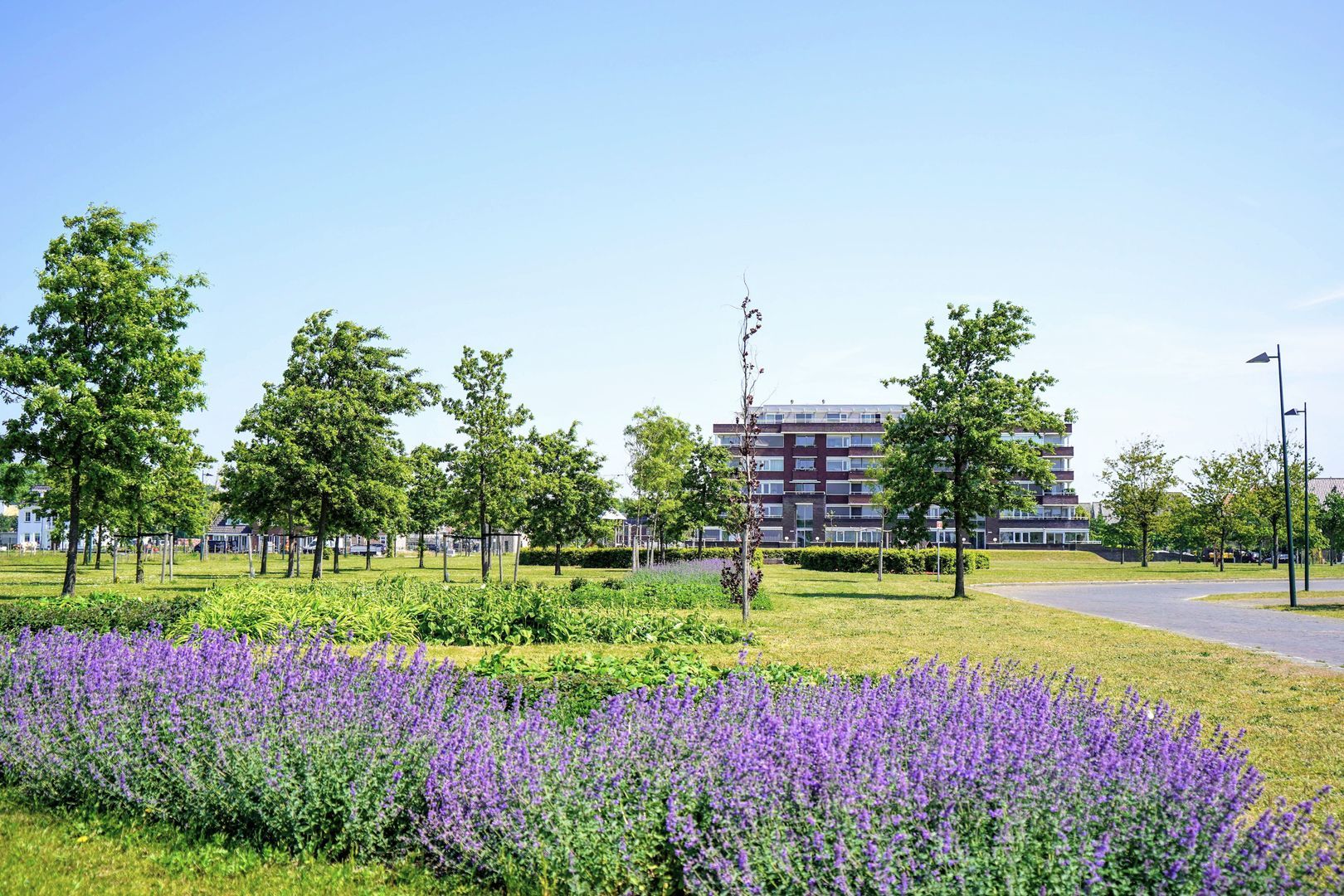 Nederhoflaan 12 Den Haag photo-42