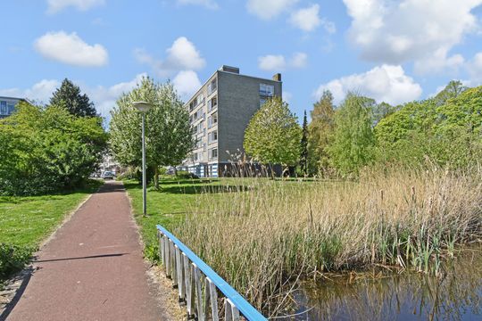 Barnsteenhorst 386 image