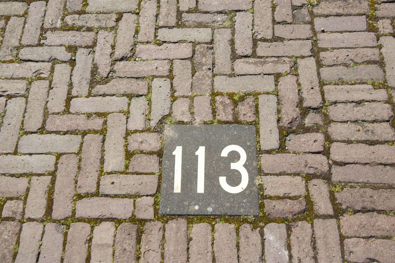 Thérèse Schwartzestraat 113 Den Haag photo-46