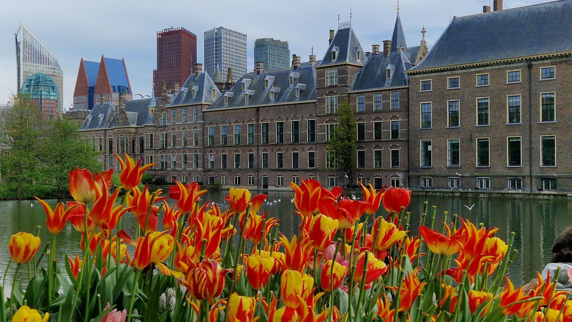 Lage Zand 502 Den Haag photo-68