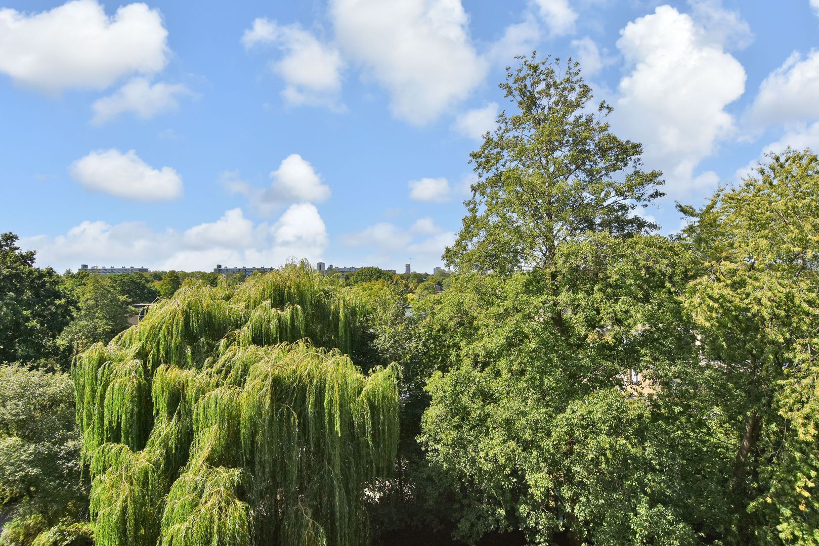 Tulpentuin 131 Voorburg photo-13
