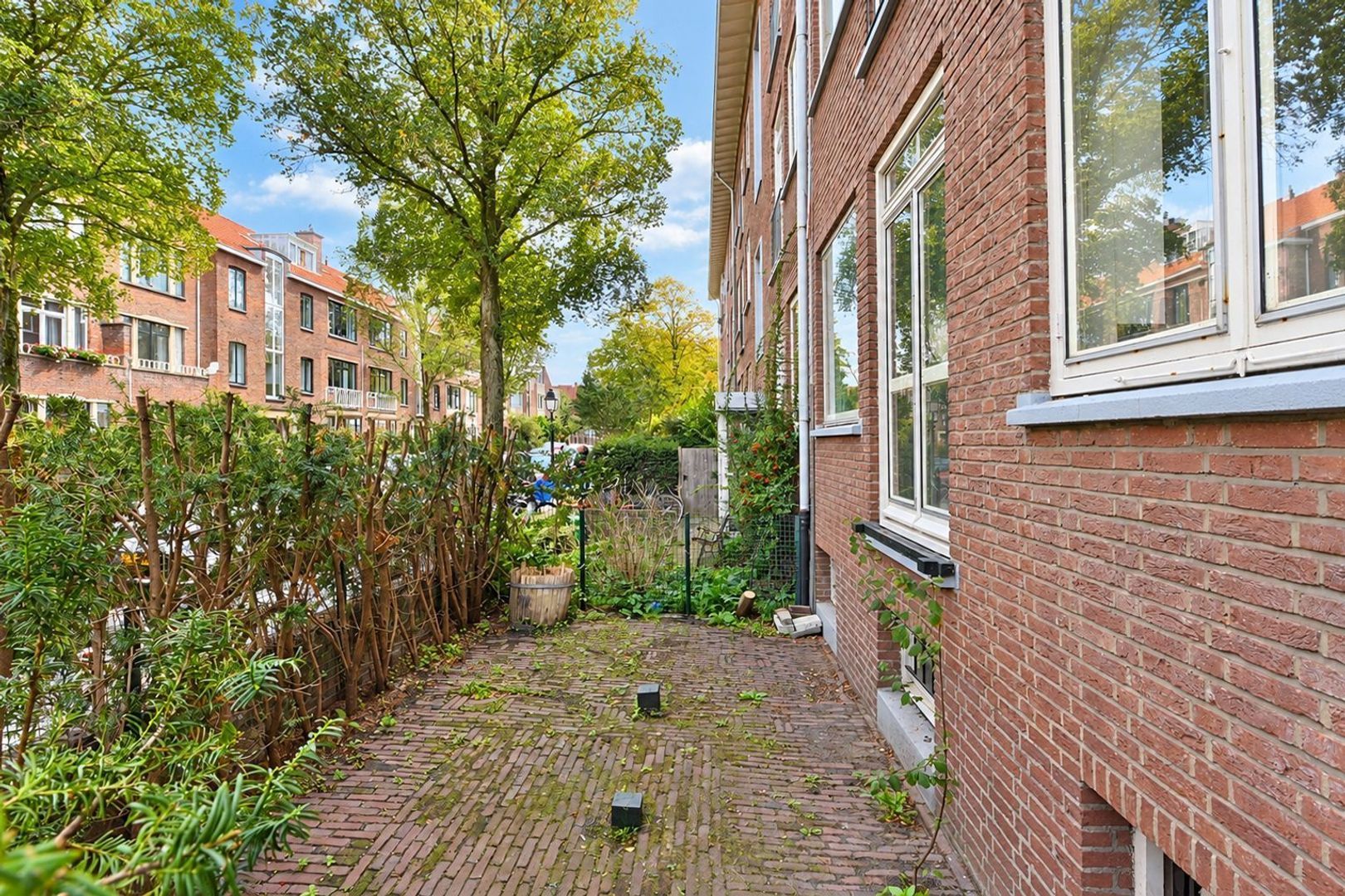 Van Bleiswijkstraat 87 Den Haag photo-1