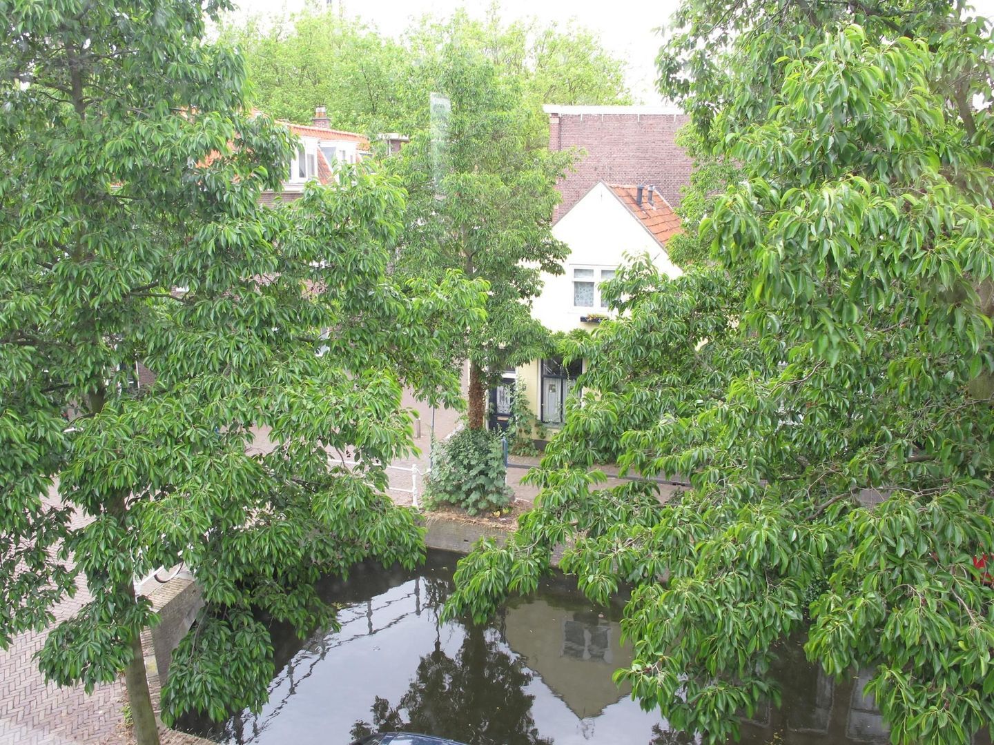 Molslaan 121, Delft foto-17