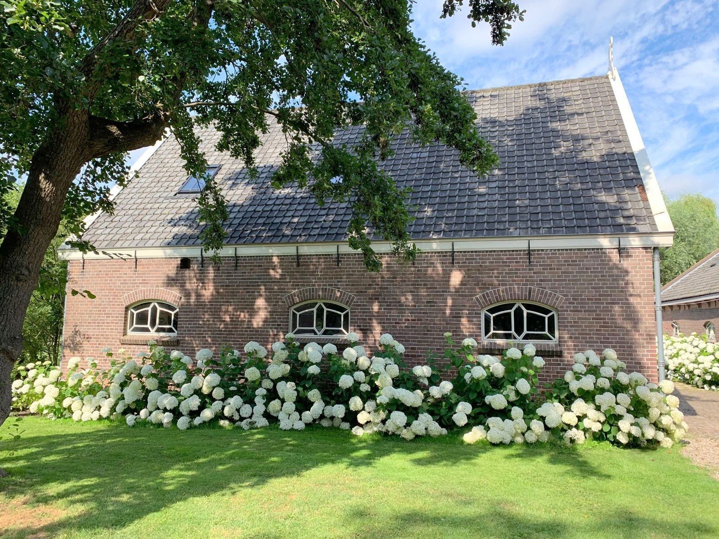 Haantje 11, Rijswijk foto-76