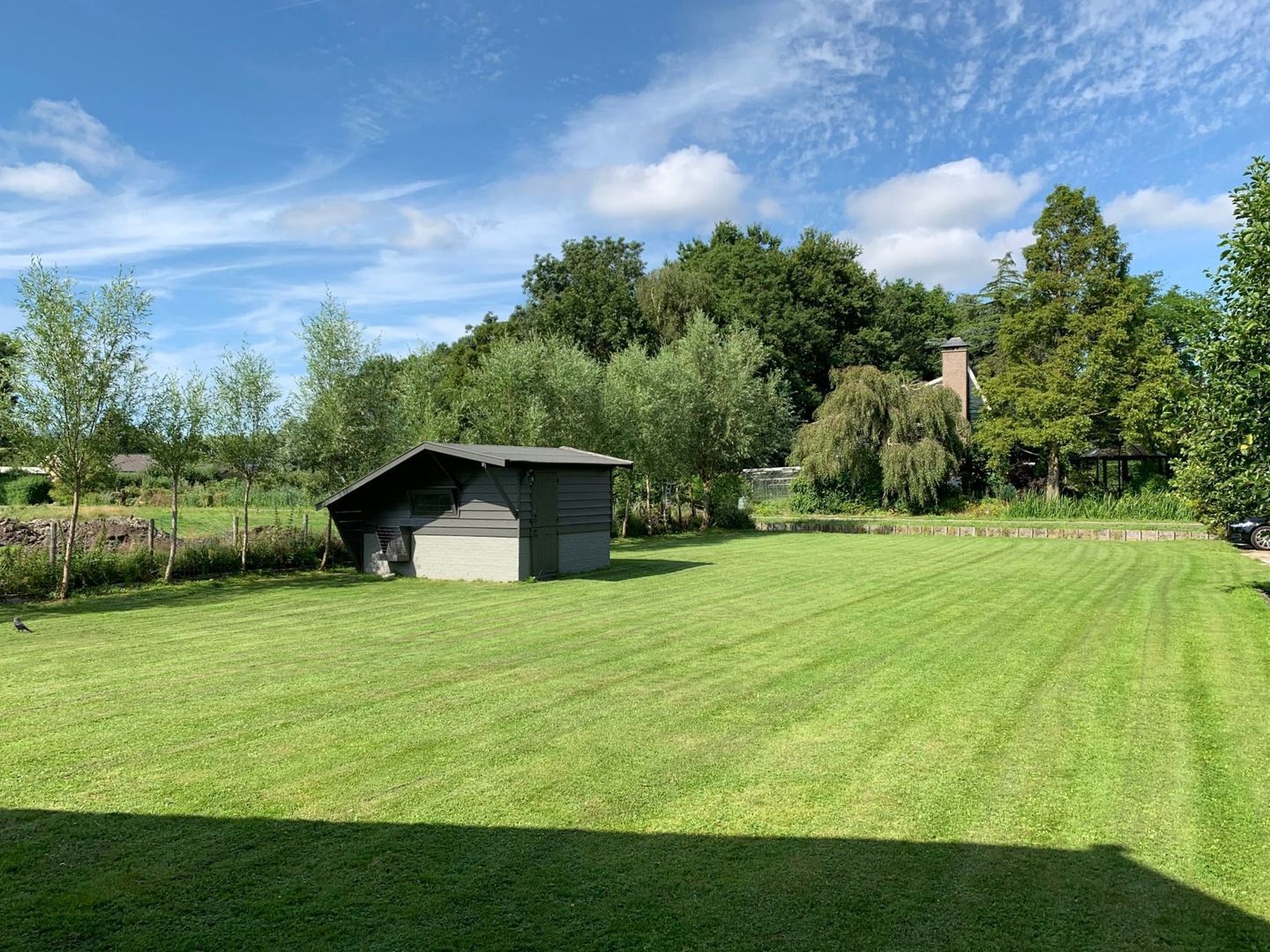 Haantje 11, Rijswijk foto-117