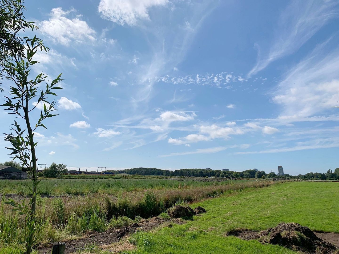 Haantje 11, Rijswijk foto-119