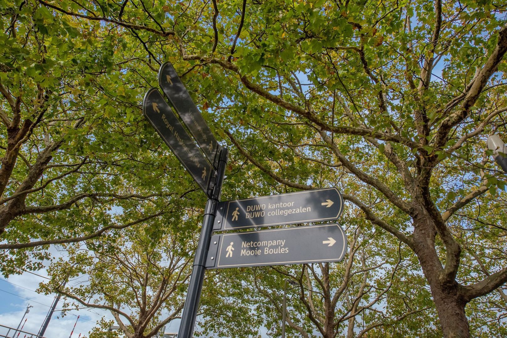 Prof. Snijdersstraat 5, Delft foto-72