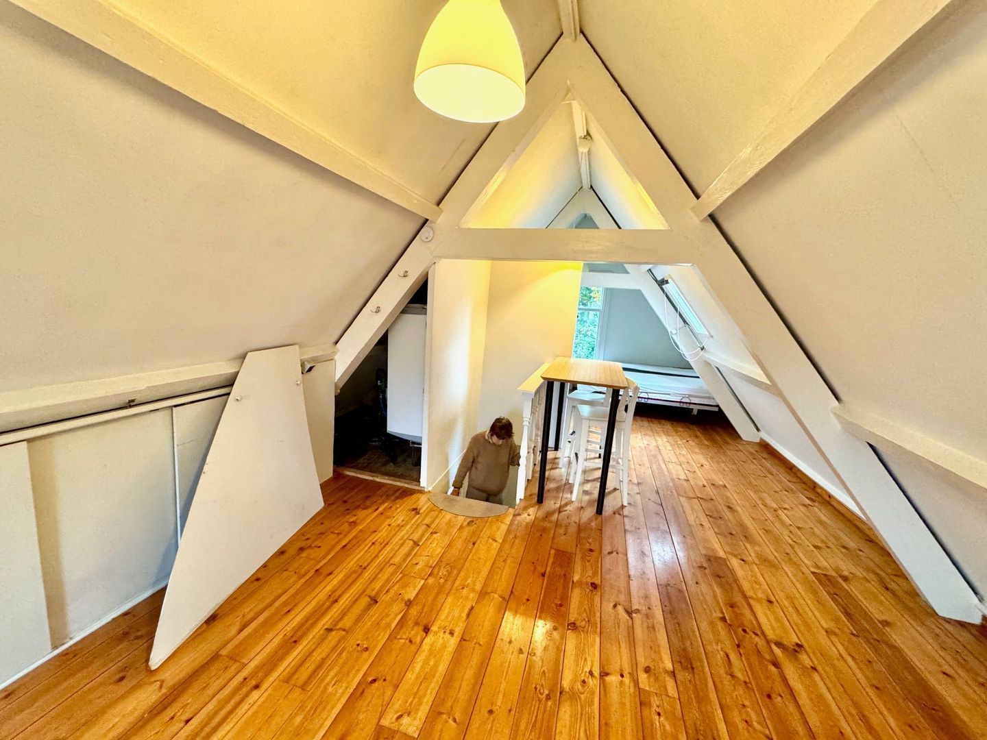 Hippolytusbuurt 11, Delft foto-28