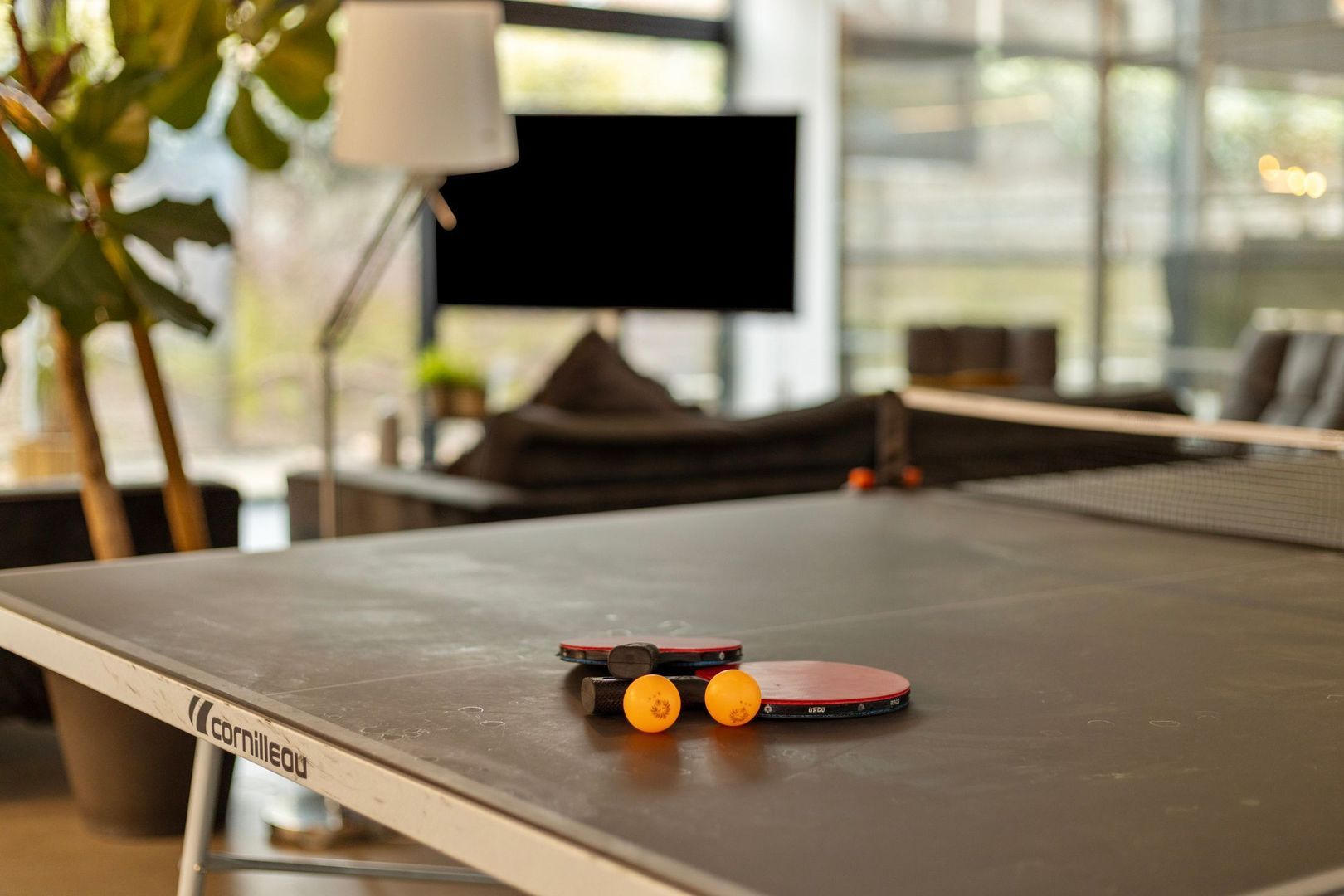 Phoenixstraat 58, Delft foto-16