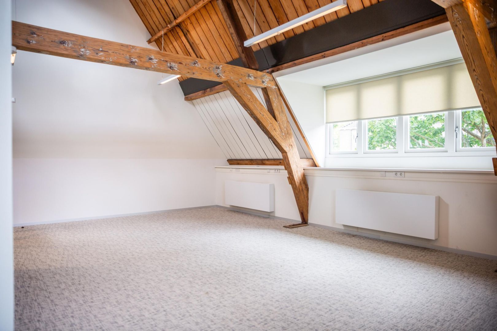 Paardenmarkt 1, Delft foto-24