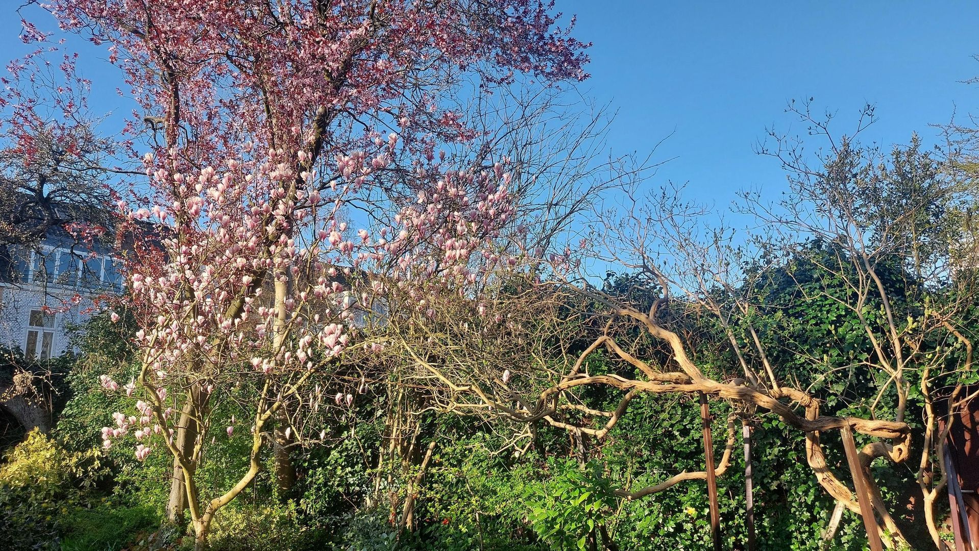 Raamstraat 16, Delft foto-5