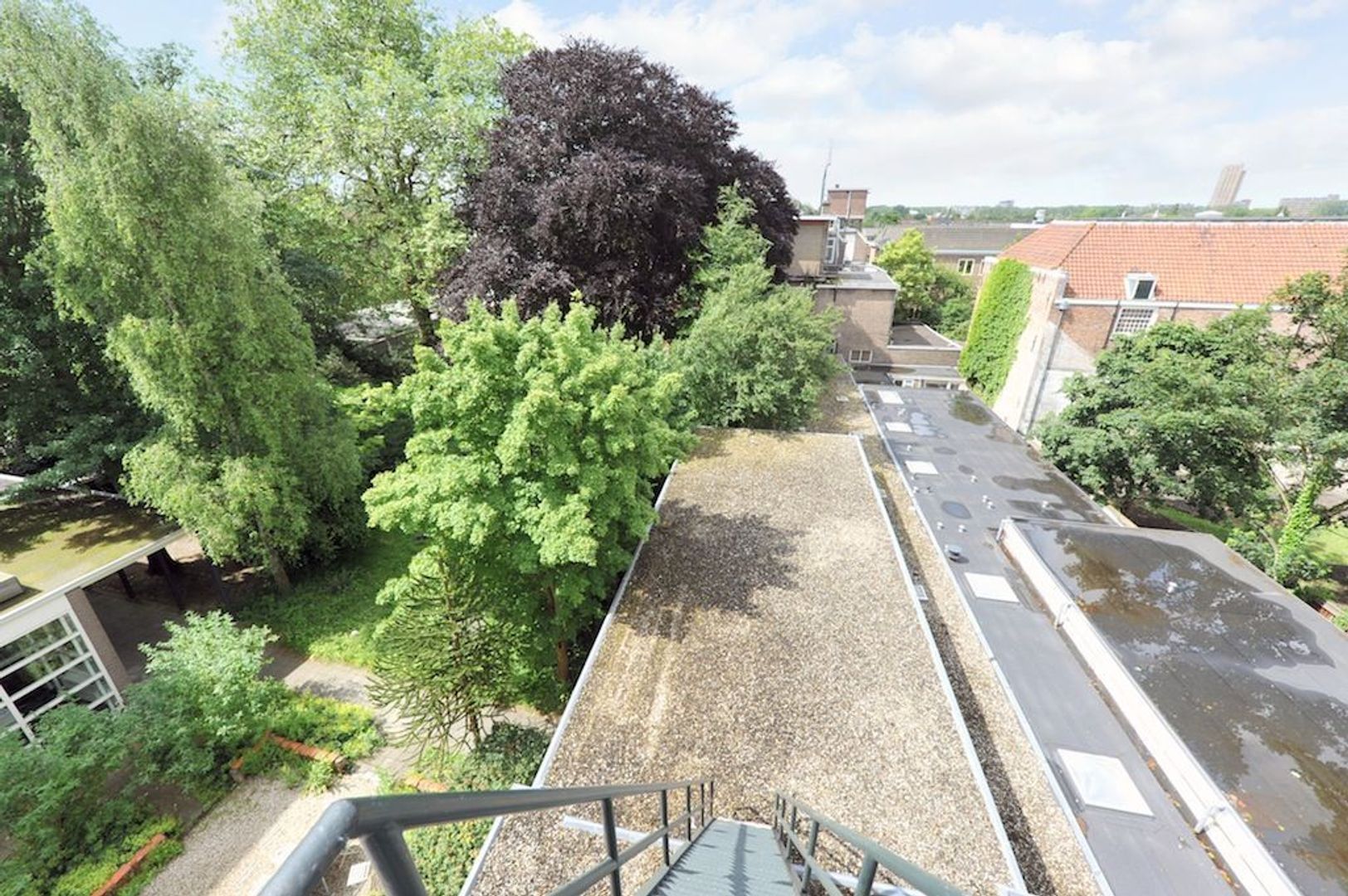 Oude Delft 207, Delft foto-15