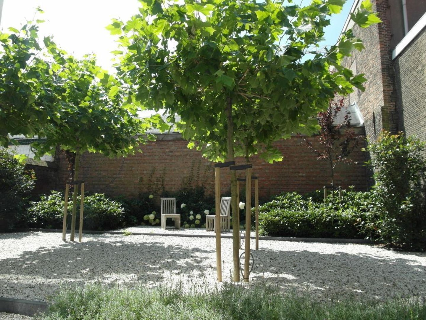 Oude Delft 37, Delft foto-15