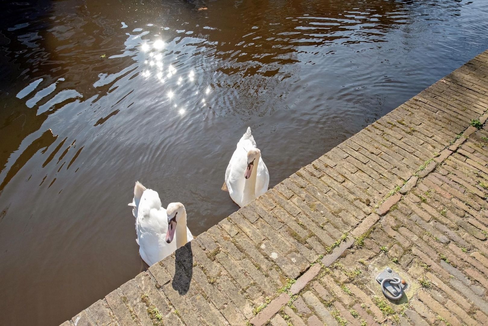 Buitenwatersloot 121 C, Delft foto-28