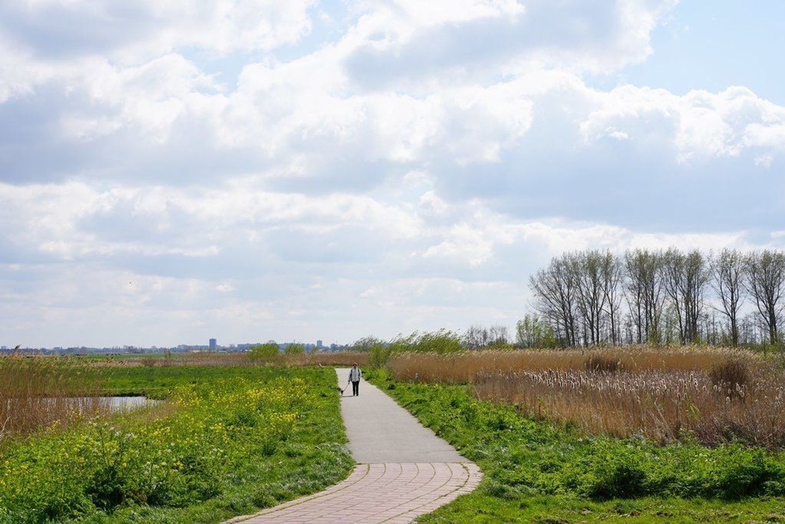 Straat van Ormoes 141, Delft foto-62