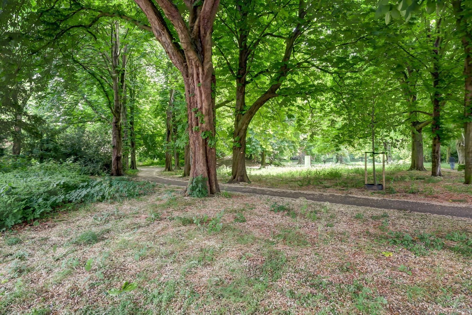 Ds Veldhoenlaan 10, Voorburg foto-42