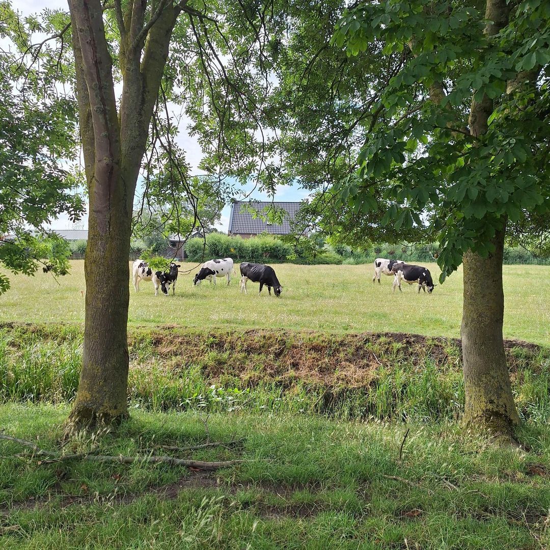 Zuideindseweg 27, Delfgauw foto-44