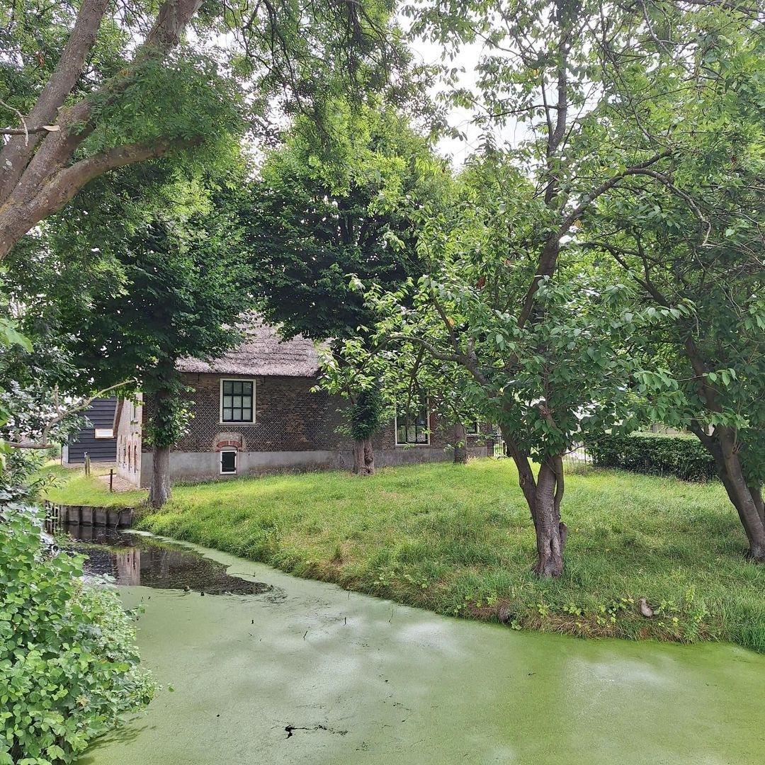 Zuideindseweg 27, Delfgauw foto-45