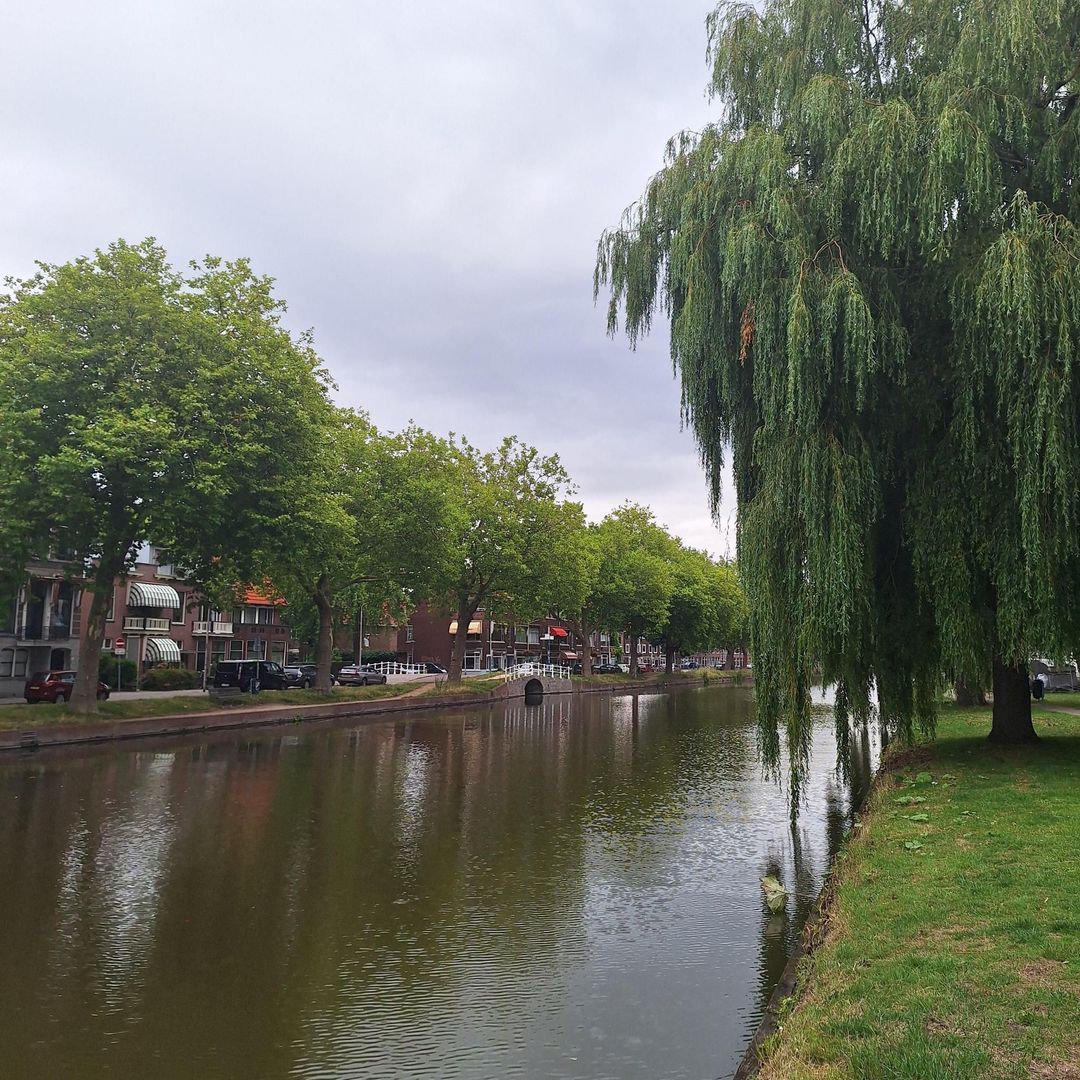 Harmenkokslaan 58, Delft foto-45