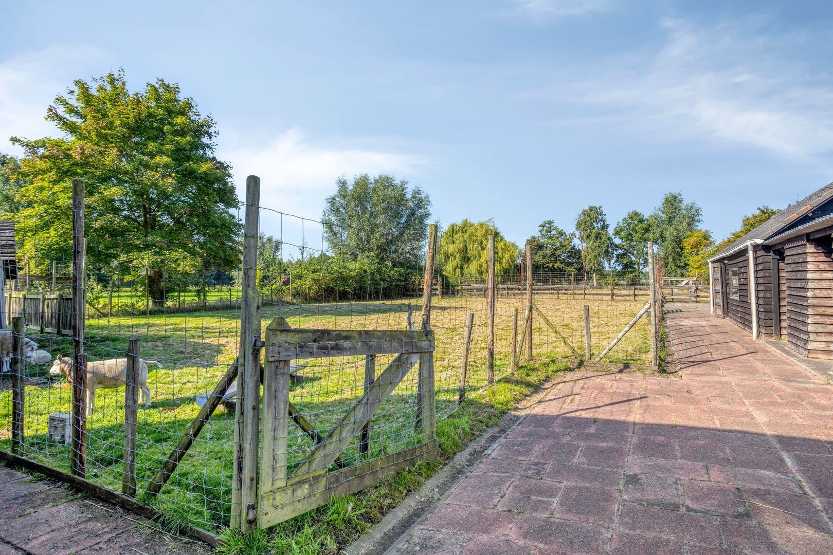 Zuideindseweg 114, Delfgauw foto-12