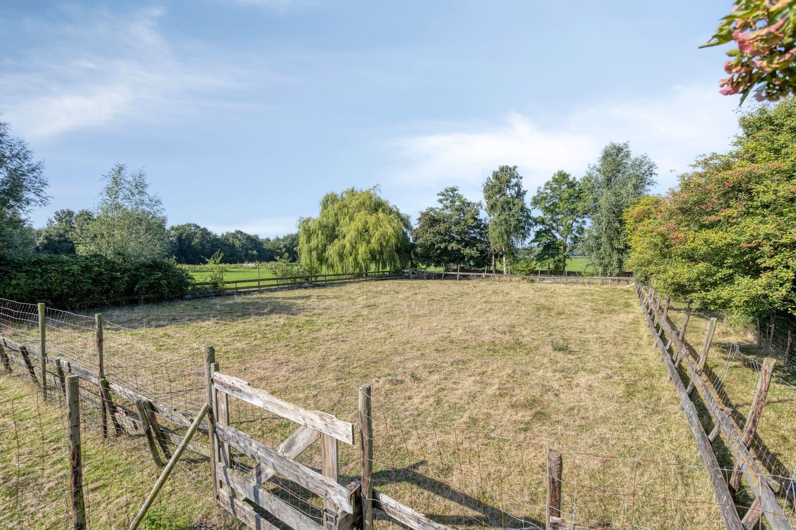 Zuideindseweg 114, Delfgauw foto-15