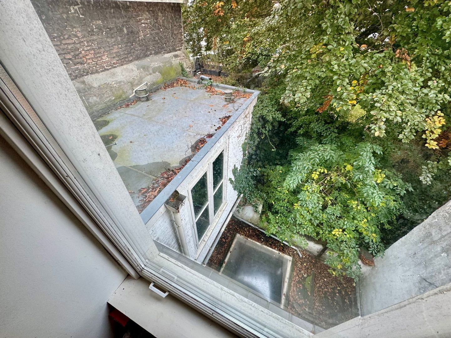 Hippolytusbuurt 11, Delft foto-24