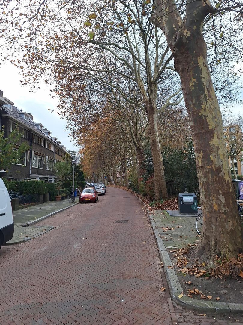 Insulindeweg 268, Delft foto-39