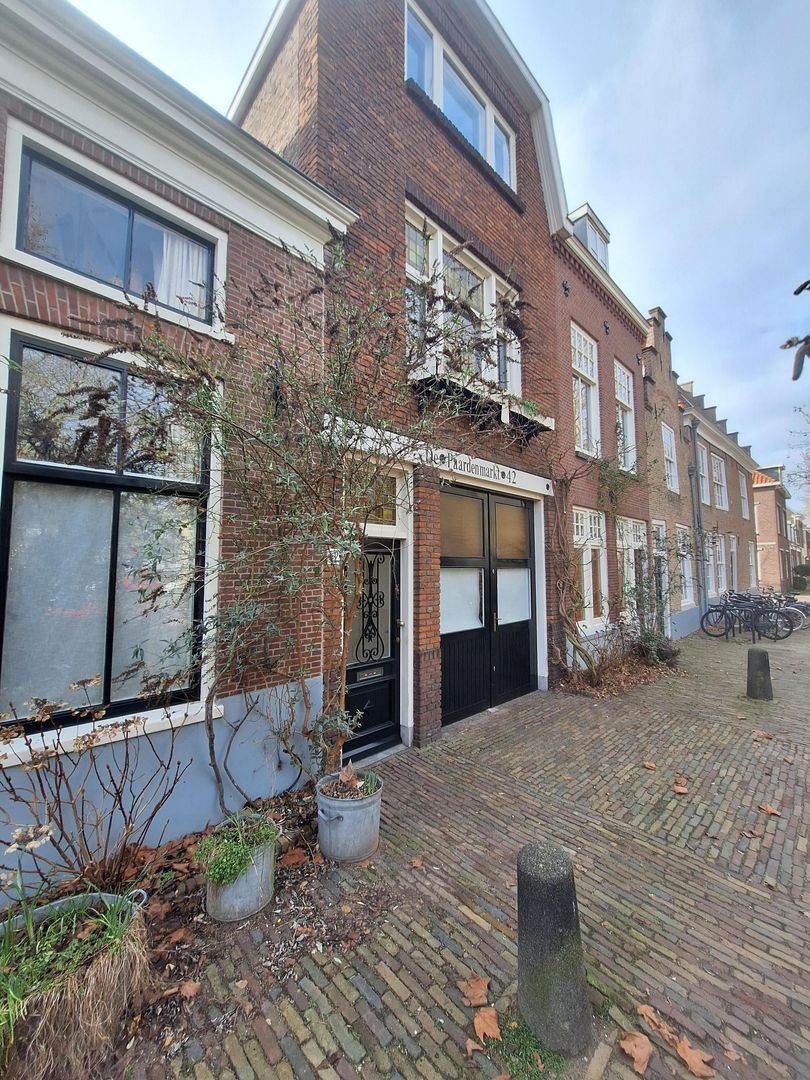 Paardenmarkt 42, Delft foto-4