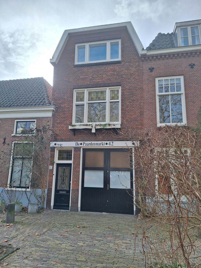 Paardenmarkt 42, Delft foto-33