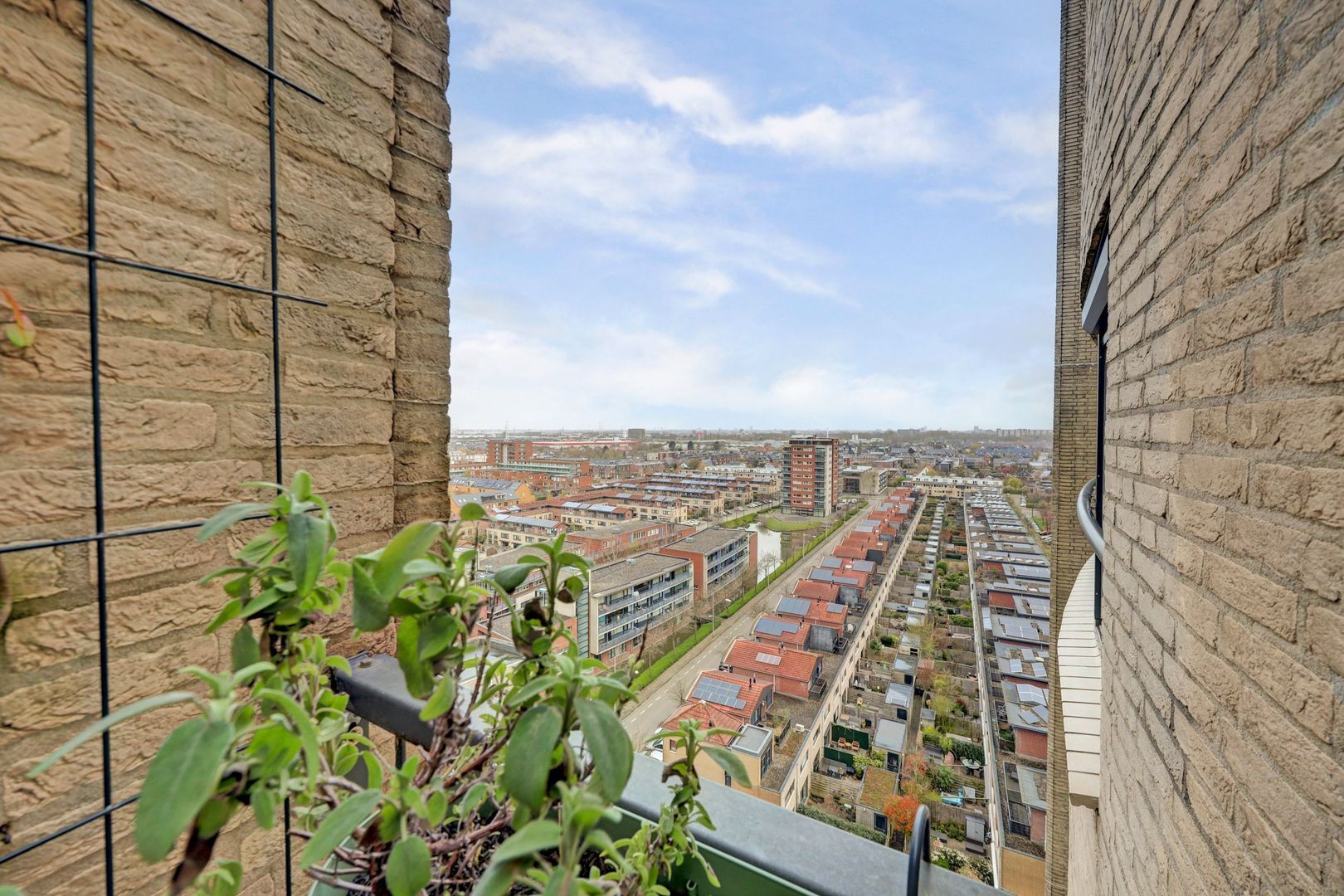 Parkzoom 97, Delft foto-21