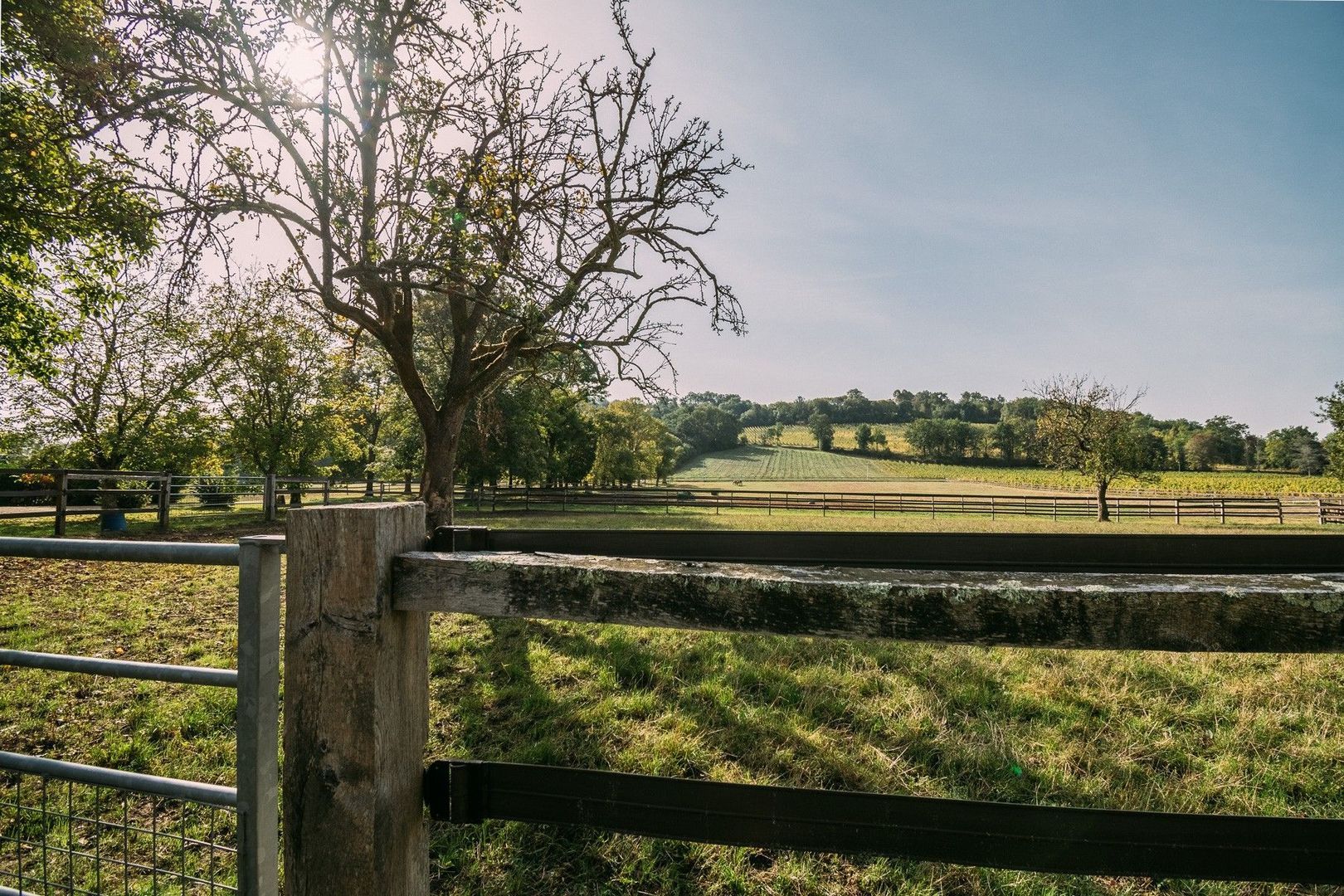 Landgoed ideaal voor paarden, Bergerac foto-36
