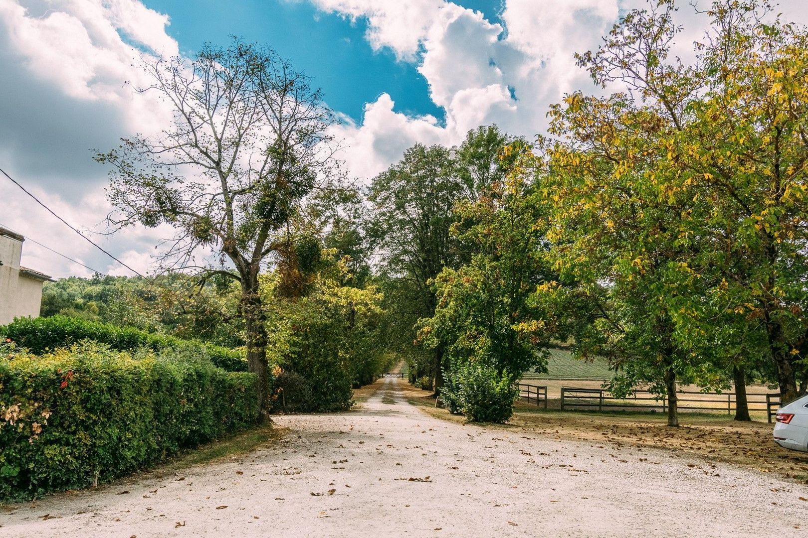 Landgoed ideaal voor paarden, Bergerac foto-3