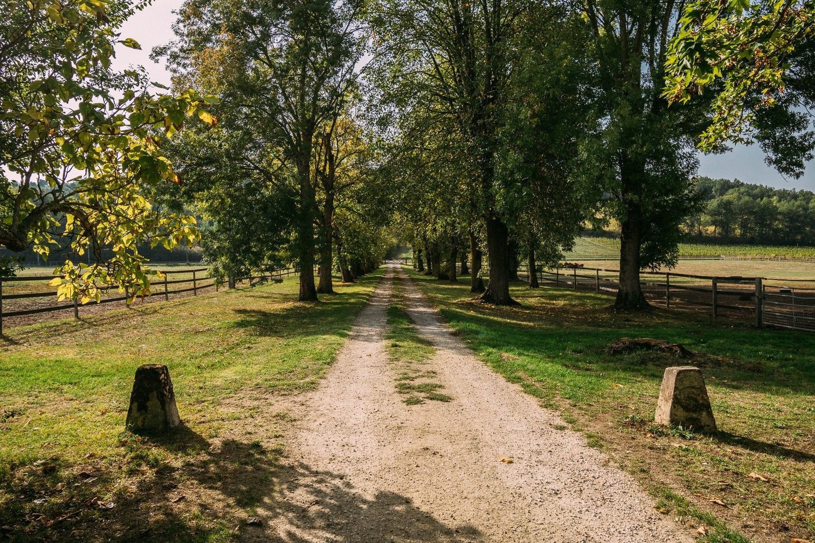 Landgoed ideaal voor paarden, Bergerac foto-4