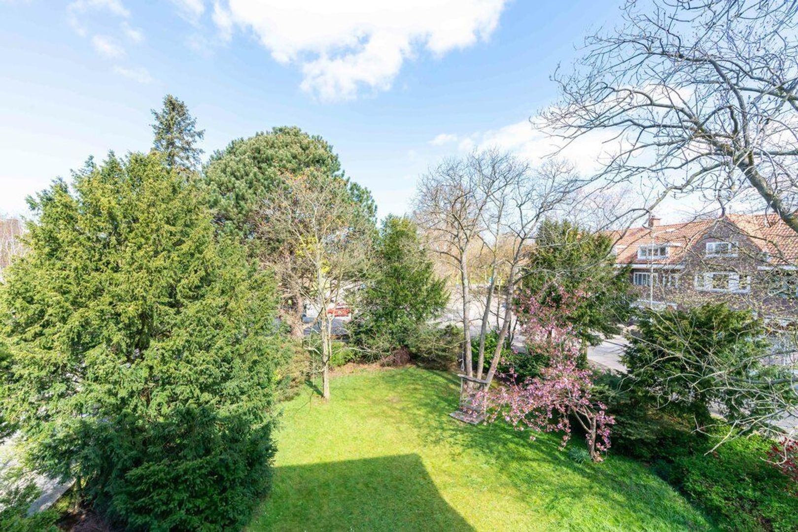 Van Hogenhoucklaan 46