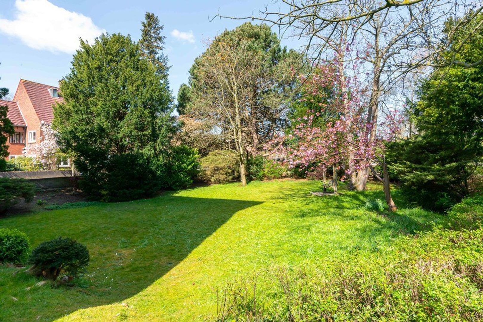 Van Hogenhoucklaan 46